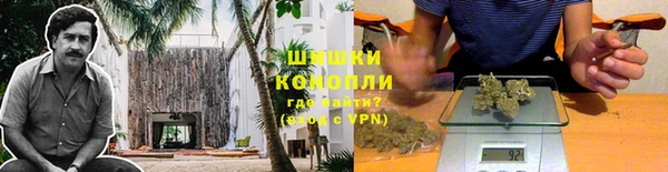 твердый Долгопрудный