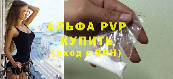 тгк Новодвинск