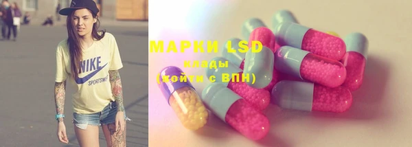 ECSTASY Новозыбков