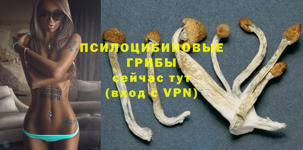 ECSTASY Новозыбков