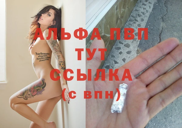 ECSTASY Новозыбков