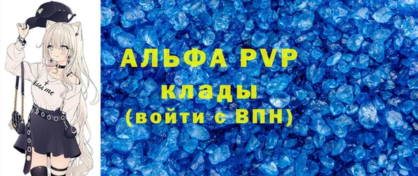 тгк Новодвинск