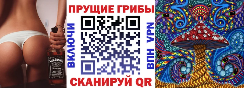 Галлюциногенные грибы Psilocybe  цена   Ульяновск 